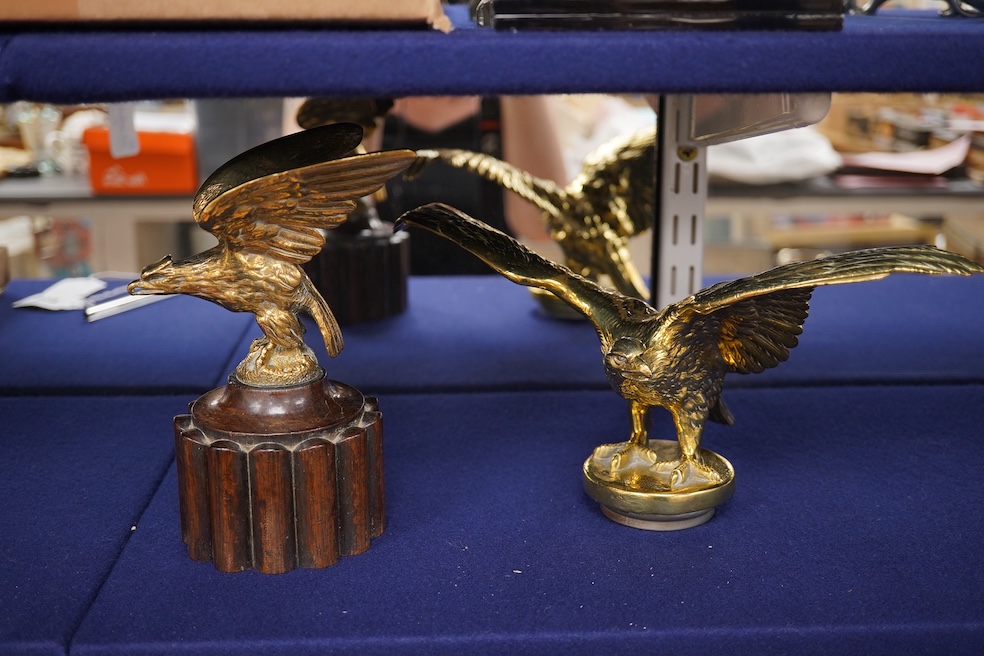 Two brass car mascots in the form of eagles, one mounted on a threaded radiator cap, the other mounted on a wooden base, the larger with a wingspan of 31cm. Condition - fair, one eagle with bent wing.